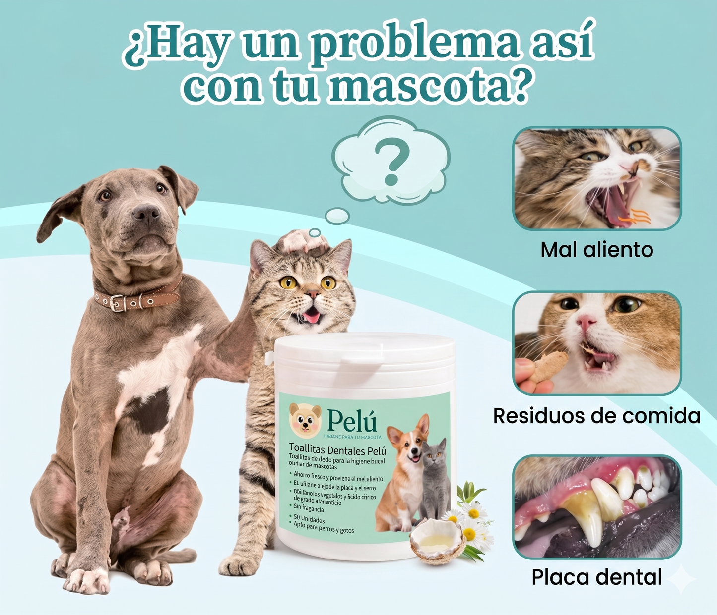 Kit Limpieza Dental Pelú