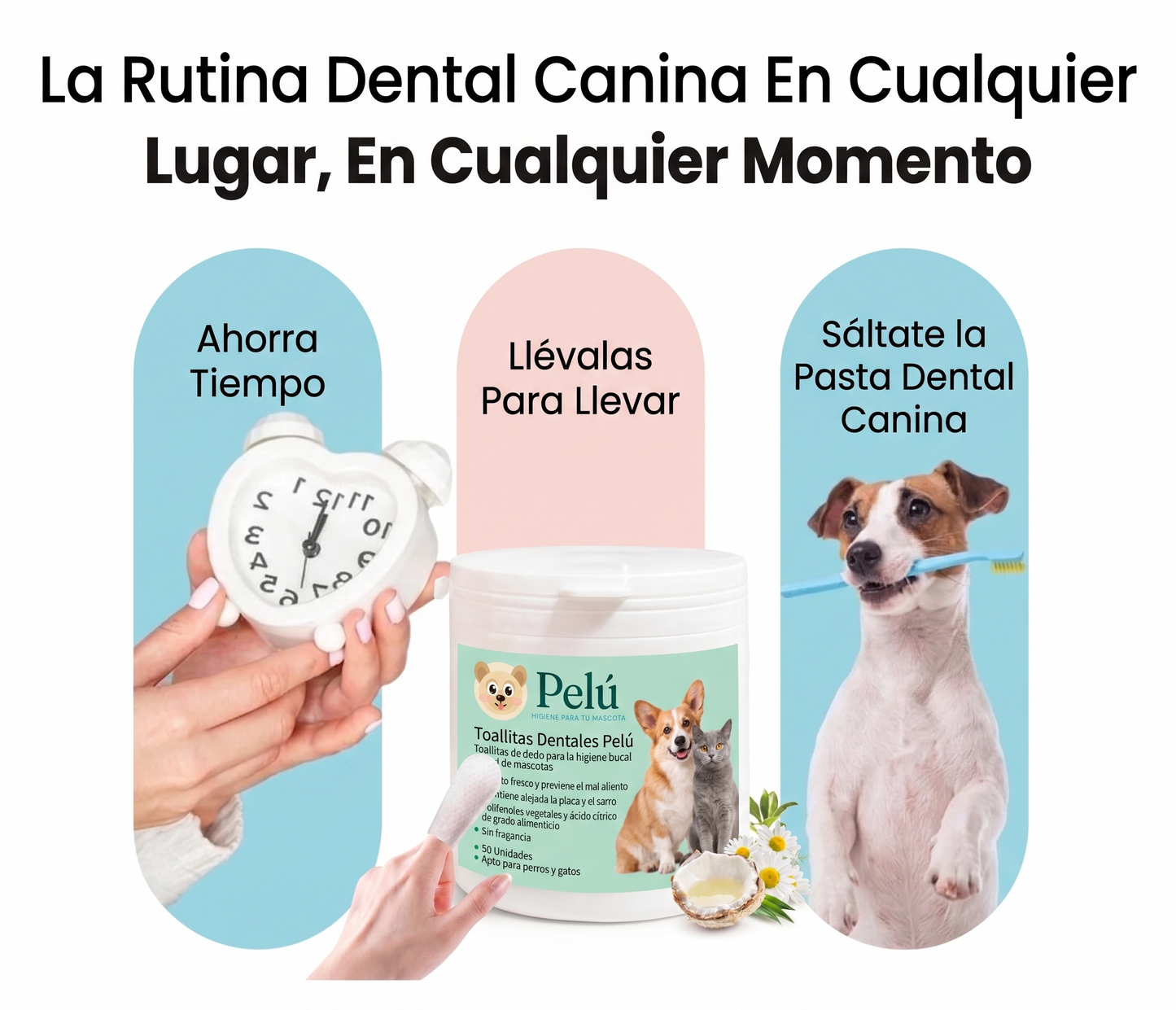 Kit Limpieza Dental Pelú