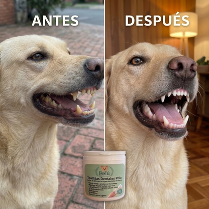 Kit Limpieza Dental Pelú