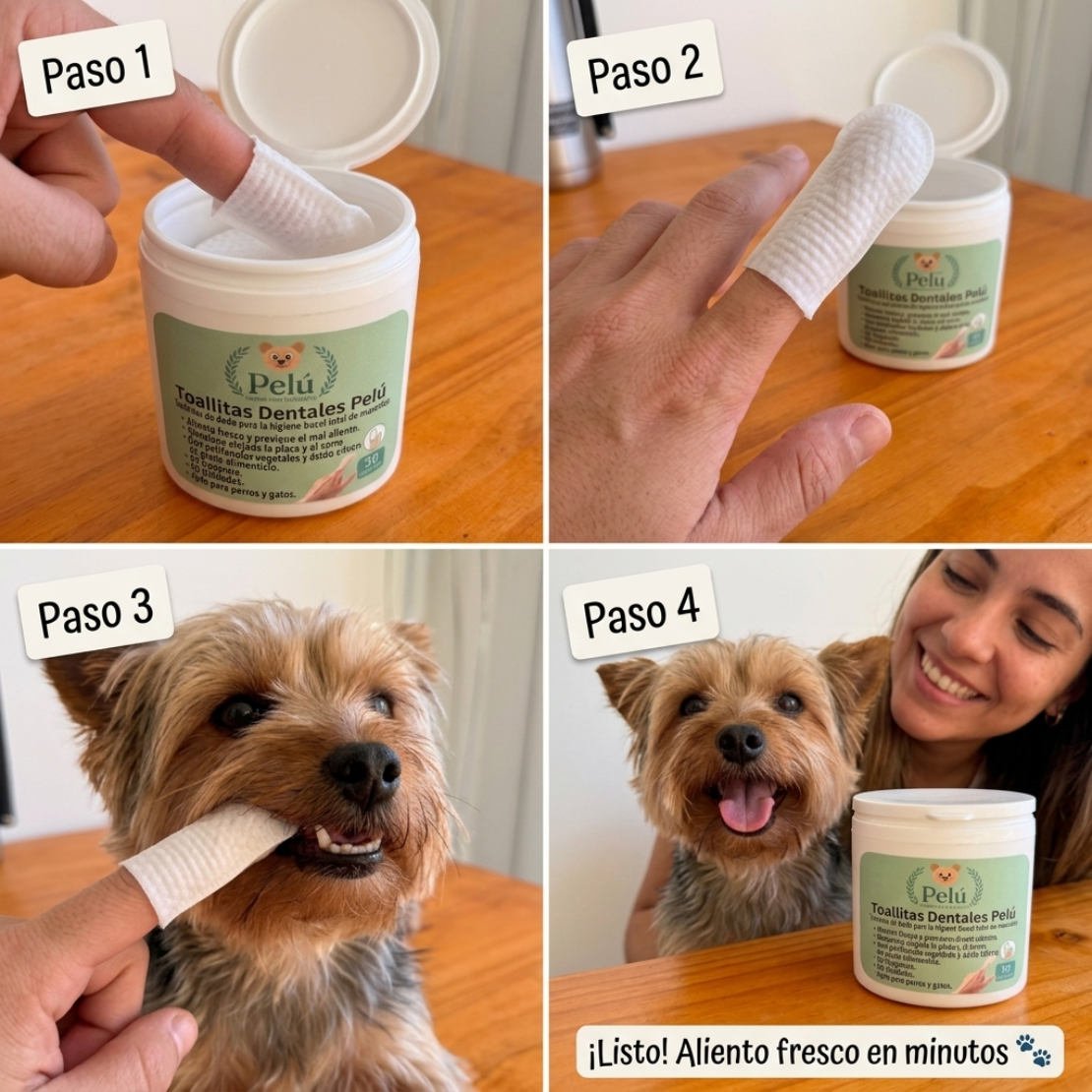 Kit Limpieza Dental Pelú